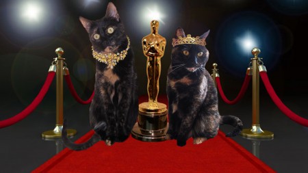 Oscars!